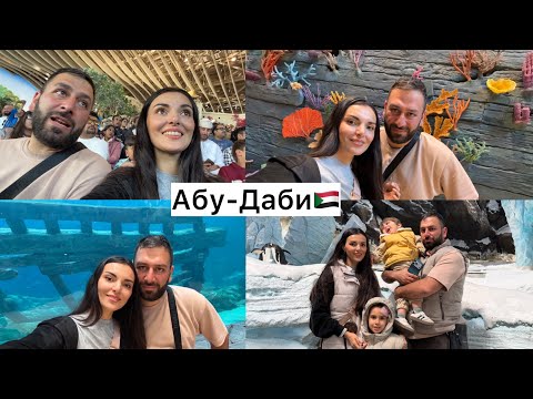 Абу-Даби! Самый большой аквариум в мире! Впечатления космос😍 thumbnail