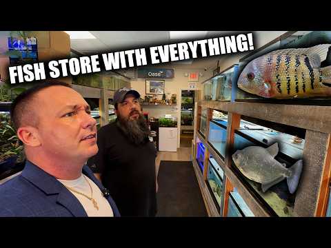 I toured an aquarium fish store in New Jersey - pick fish pets -  the king of DIY thumbnail