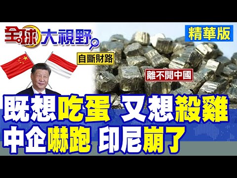 印尼眼紅中企想割韭菜 層層加碼逼走財神 轉頭卻發現產業崩盤 最終認清根本離不開中國技術 認慫暫緩加稅!|【全球大視野】精華版 ‪‪@全球大視野Global_Vision‬ thumbnail