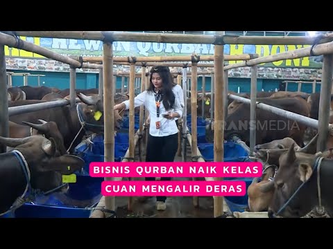 Bisnis Qurban Naik Kelas Cuan Mengalir Deras | CUAN BOS (24/05/26) thumbnail