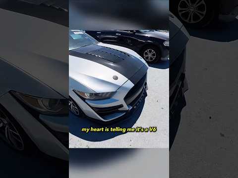 This Shelby Mustang is a FAKE thumbnail