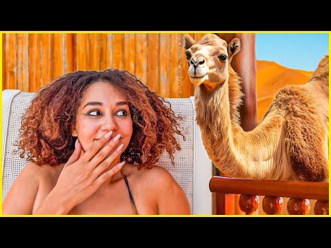 on dort au milieu du désert thumbnail