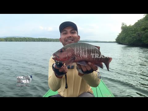 Menaklukkan Predator Muara Dengan Teknik Casting | MANCING MANIA STRIKE BACK (23/05/26) P3 thumbnail