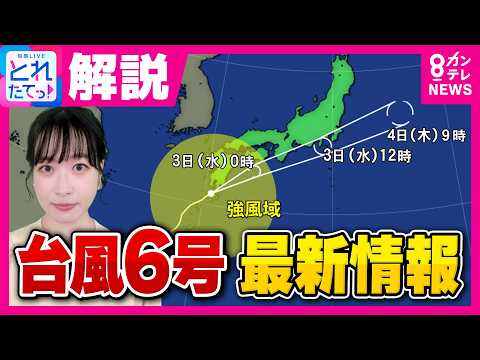 【台風6号最新情報】あす3日明け方に大阪に“最接近”　3日朝には東京に接近　全国で“線状降水帯”発生のおそれ　気象予報士・浅田さん解説｜旬感LIVE とれたてっ！〈カンテレNEWS〉 thumbnail