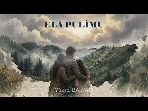 ELA PULİMU / YÜKSEL BALTACI thumbnail
