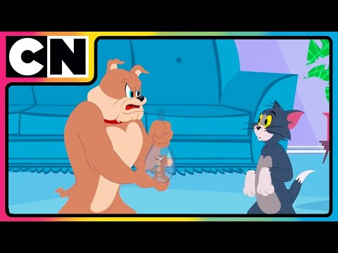 THE TOM AND JERRY SHOW | Never Mess with a Cat| Cartoon NetworK thumbnail