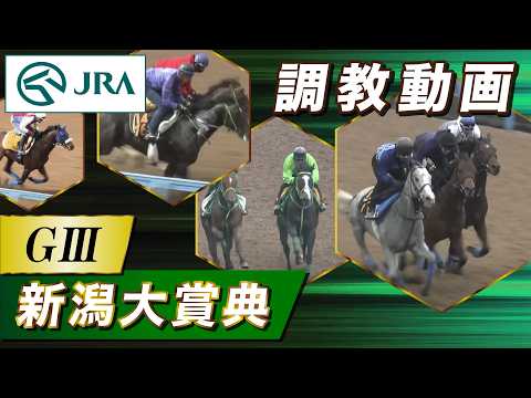 【調教動画】2026年 新潟大賞典｜JRA公式 thumbnail