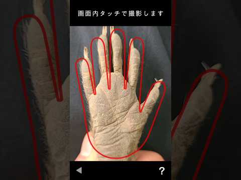 【検証】アライグマに『手相占い』は通用するのか？ thumbnail