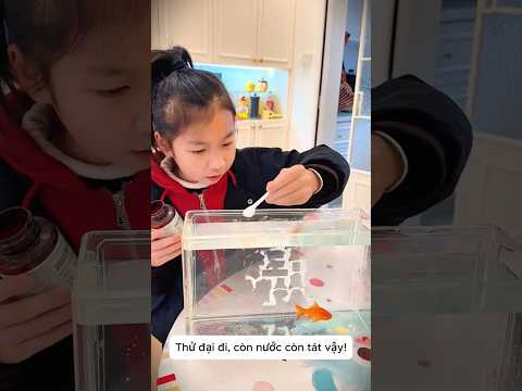 🐶 Chó Đại Hoàng Chữa Mù Màu Cho Chị Hai? 😱 thumbnail
