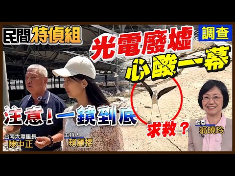 【全字幕】直擊心酸一幕！高蹺鴴在光電廢棄物上XX！最大300甲魚電廢墟！沒魚沒電沒租金地主崩潰【#民間特偵組 252-2】 @民間特偵組PeopleJustice thumbnail