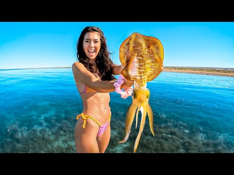 Giant Tiger Squid Catch And Cook thumbnail