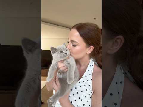 Ob meine Mäuse Wasser mögen..?!👀🤭 #shortvideo #kitten #alltag thumbnail
