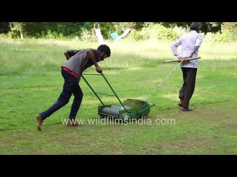 Groundskeeping with manual lawn mowing in urban green space New Delhi thumbnail