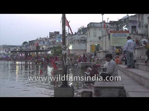 Evening lights and sacred rituals at Pushkar Lake during Pushkar Mela thumbnail