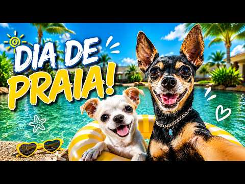 MEUS CACHORROS ROU*AR*AM MEU CELULAR E GRAVARAM SUAS AVENTURAS NA NOSSA PRAIA! thumbnail