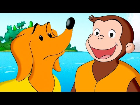 ¡De vuelta a tierra firme! | Jorge El Curioso En Español thumbnail