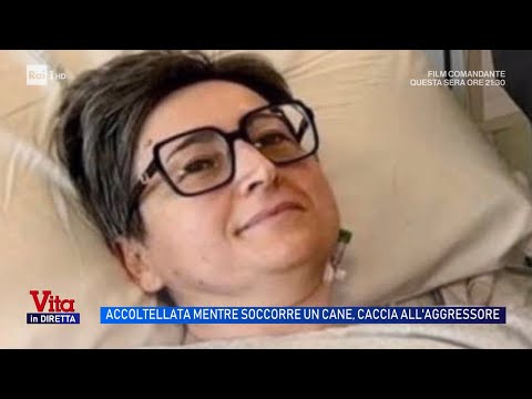 Lodi, accoltellata mentre soccorre un cane: è caccia all'aggressore - Vita in diretta 20/05/2026 thumbnail
