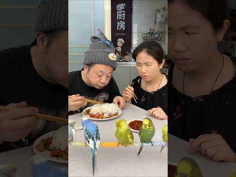老公老是捉弄我🫣😂平平淡淡一餐饭😘🥰美食美味 thumbnail