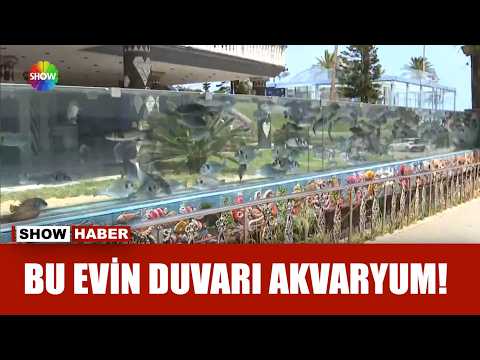 Duvarı yıktı devasa akvaryum yaptı! thumbnail