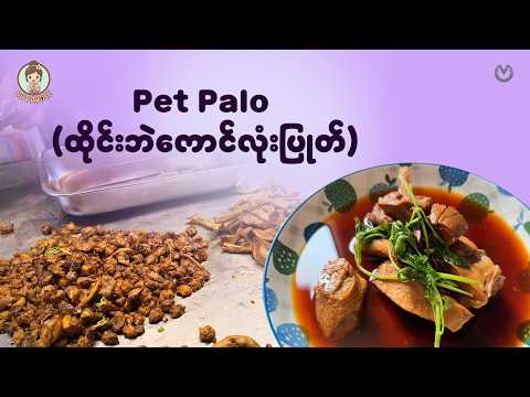 Pet Palo (ထိုင်းဘဲကောင်လုံးပြုတ်) thumbnail