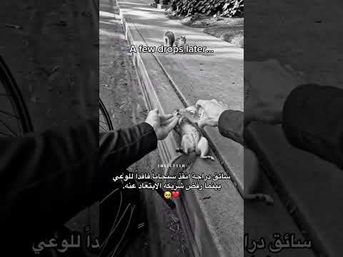 انقذه.   (الإنسانية) اشترك في القناة ليصلك كل جديد وفعل الجرس thumbnail