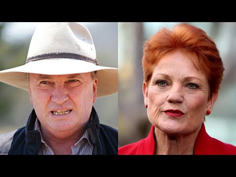 Barnaby Joyce backs Pauline Hanson for PM amid criticisms from respected voices thumbnail