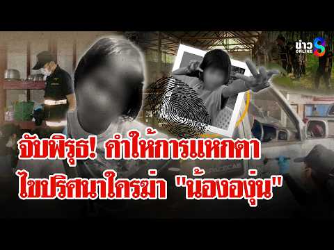 จิ๊กซอว์ชิ้นสุดท้าย! คำให้การแหกตา? ใครกันแน่โกหก ตร.จ่อปิดคดี "น้ององุ่น" | ลุยชนข่าว | 4 มิ.ย. 69 thumbnail