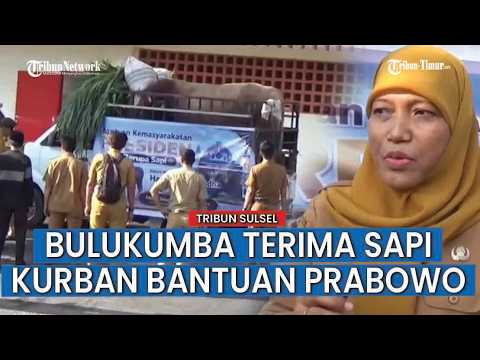 1.883 Ekor Sapi dan 523 Kambing di Bulukumba Siap Dipotong untuk Kurban Iduladha thumbnail