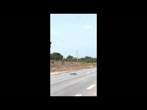 Portugal : deux enfants français de 3 et 5 ans abandonnés par leur mère en pleine forêt thumbnail