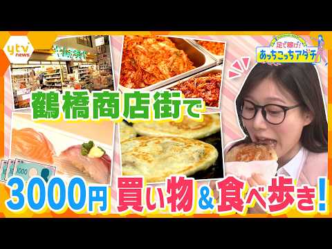 3000円で韓国グルメ満喫！鶴橋商店街を隅々まで大調査！【かんさい情報ネット ten.あっちこっちアダチ】 thumbnail