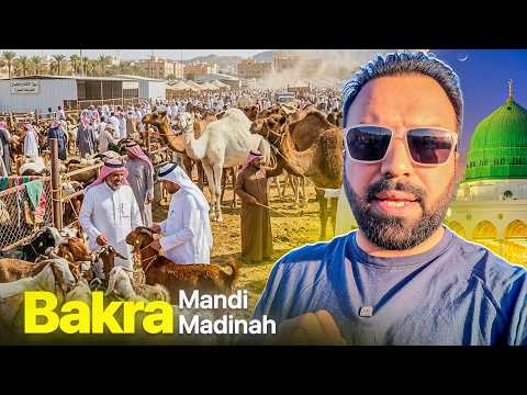 Madinah Camel & Bakra Mandi 🐫🐐 Before Hajj 2026 ✨ Latest Prices Revealed! 🏷️ thumbnail
