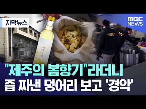 [자막뉴스] "제주의 봄향기"라더니..즙 짜낸 덩어리 보고 '경악' (MBC뉴스) thumbnail