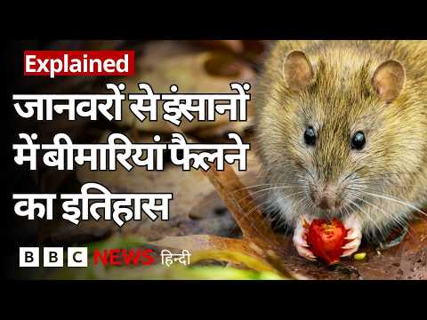 Zoonotic Diseases: जानवरों से इंसानों में कैसे फैली बीमारियां, जानिए क्या है इतिहास | (BBC Hindi) thumbnail
