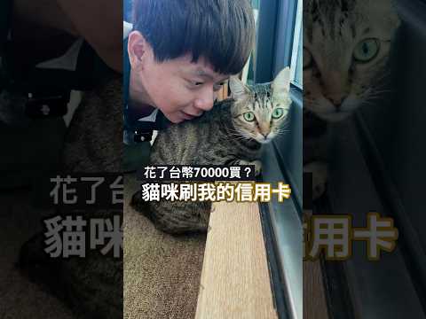 😺我被貓咪盜刷台幣70000了😂 thumbnail
