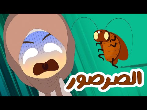 الصرصور - الحشرة المرعبة | معلومات عن الصراصير للأطفال - كيف ماذا ولماذا (الحلقة 4) thumbnail