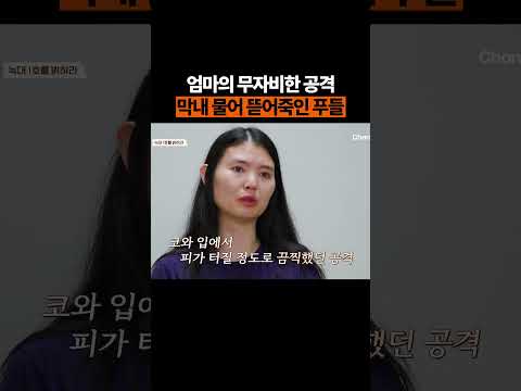푸들이 푸들을 죽였다? #개늑시 #개와늑대의시간 thumbnail