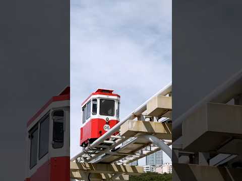 The Silly Retro Capsules of Busan thumbnail