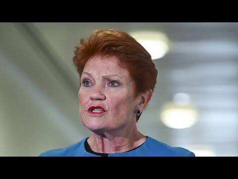 ‘Silent majority finds its voice’: One Nation could win over 50 seats in election held today thumbnail