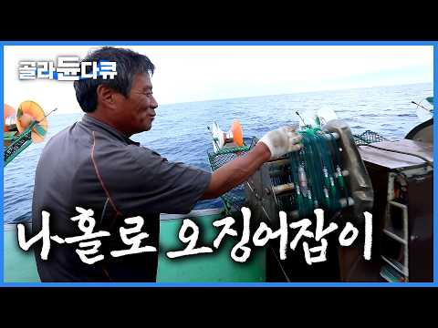 같이 탈 어부가 없어 결국 혼자 나갑니다. 돈 한 푼 없이 맨몸으로 울릉도 들어와, 가족 위해서 밤바다 홀로 배 지키는 베테랑 조업 현장 갔더니｜한국기행｜#골라듄다큐 thumbnail
