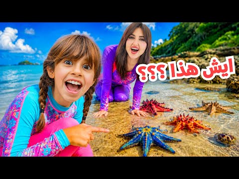 اغرب شي نشوفه في حياتنا واحنا نسبح في البحر 😮 thumbnail