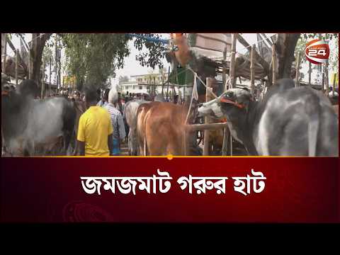 মহাস্থানে জমজমাট গরুর হাট | Gorur Haat | Bogura | Channel 24 thumbnail