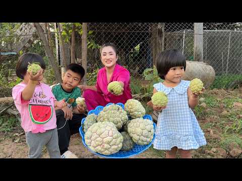 Custard apple harvest and eating | Chicken feet and egg cooking thumbnail