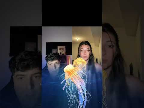 Grazie Ergi! Ogni giorno sono in live su Tiktok! 💪🏻 thumbnail