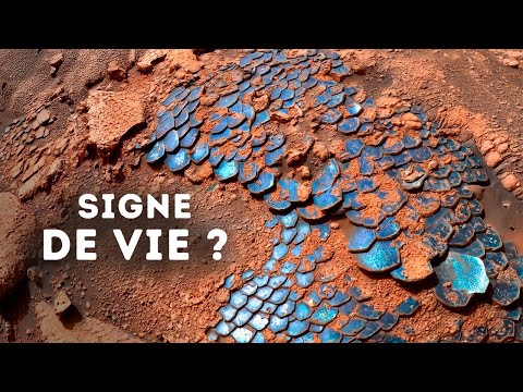 La NASA a découvert quelque chose qui ressemble à un reptile géant sur Mars thumbnail