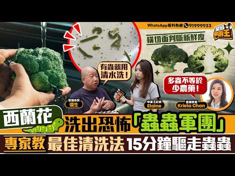 西蘭花洗出噁心「蟲蟲大軍」 營養學家教最佳清洗菜蟲法｜星島申訴王｜西蘭花｜菜蟲｜超級食物｜洗菜｜實測｜星島頭條 thumbnail