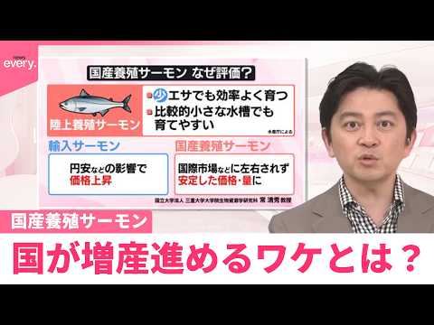 【なるほどッ！】“国産養殖サーモン”国が増産進めるワケとは？ thumbnail