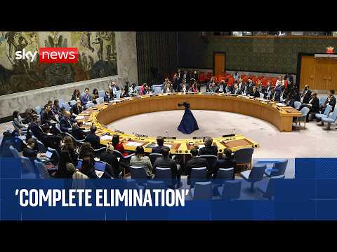 UN Security Council discusses the Middle East conflict thumbnail