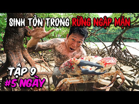 Người Cuối Cùng Còn Thử Thách SINH TỒN Trong RỪNG NGẬP MẶN Sẽ Thắng 10 Triệu thumbnail
