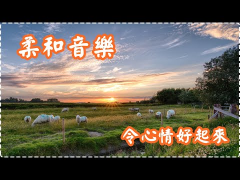 令心情好起來 柔和鋼琴音樂 適用效率學習、效率工作、休息、入睡前【1小時】 Soothing Music, Insomnia, Sleeping Music, Piano Music thumbnail