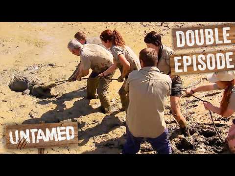 TOUGHEST Alligator Catch Keeper Has Ever Done! | Double Episode | Wild Life Of Tim Faulkner thumbnail
